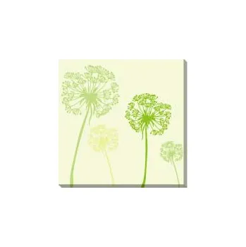 Obraz Obraz PAMPELIŠKA JA 016