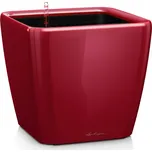 Lechuza Quadro LS 21 cm