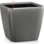 Lechuza Quadro LS 50 cm