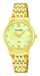 Pulsar PM2206X1