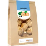 MycoMedica Hericium sušené 100 g