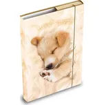 MFP Desky na sešity box A5