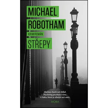 Střepy - Michael Robotham