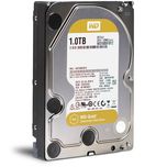 WD GOLD 1TB (WD1005FBYZ)