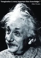 Eurographics Albert Einstein 1000 dílků