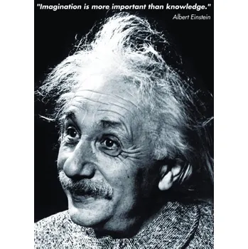 Puzzle Eurographics Albert Einstein 1000 dílků