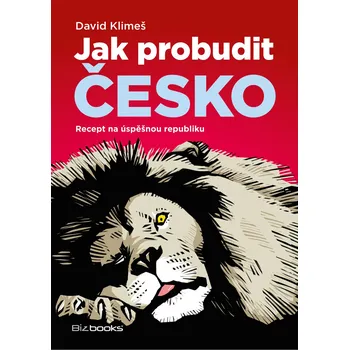 Kniha Jak probudit Česko - David Klimeš [E-kniha]
