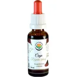 Salvia Paradise Čaga - Rezavec šikmý AF…