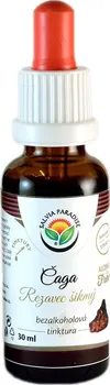 Přírodní produkt Salvia Paradise Čaga - Rezavec šikmý AF tinktura 30 ml