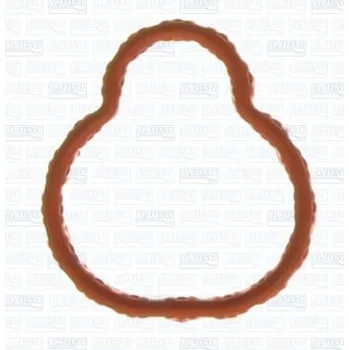 Těsnění motoru Těsnění, koleno sacího potrubí AJUSA 13149900