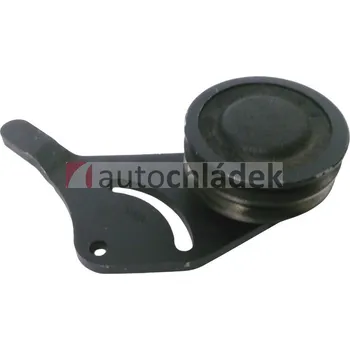 Rozvod motoru Kladka napínací AVIA D100, D421