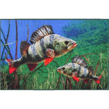 Delphin Rohožka Delphin 3D Okoun 60x40 cm