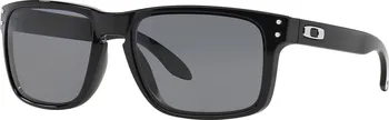 Sluneční brýle Oakley Holbrook OO9102-02