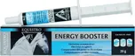 Equistro Energy booster 20 g