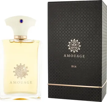 Pánský parfém Amouage Dia pour Homme M EDP