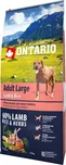 Ontario Adult Large Lamb/Rice