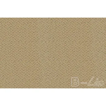 Koberec Objektový koberec FORTESSE SDE NEW 138 registrace = slevy, Šíře role Šíře role 4m