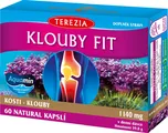 Terezia Company Klouby fit 60 cps.
