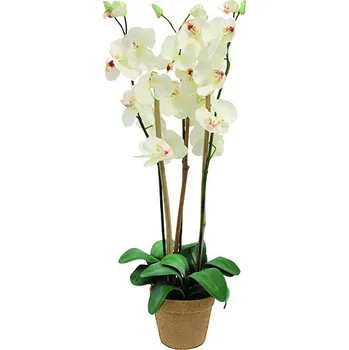 umělá květina EuroPalms Orchidej bílá 80 cm