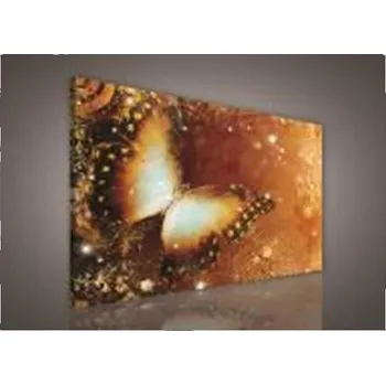 Obraz Obraz na plátně Zlatý motýl 100 x 75 cm