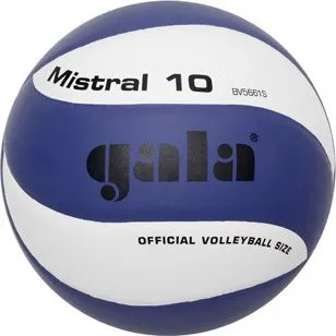 Volejbalový míč Gala Mistral BV 5661 S