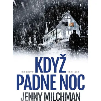 Beletrie pro dospělé Když padne noc - Jenny Milchman