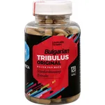 Hepatica Bulgarian Tribulus Original 120 cps.