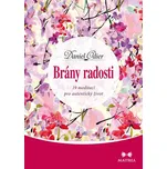 Brány radosti: 19 meditací pro autentický život - Daniel Odier