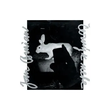 Česká hudba Černý z nebe - Jan Burian (MC)