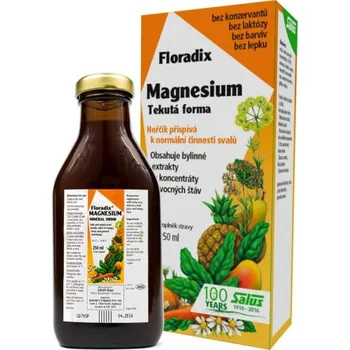 SALUS Haus Floradix Magnesium 250 ml