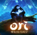 Ori and the Blind Forest PC