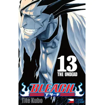 Komiks pro dospělé Bleach 13: The Undead - Tite Kubo (CS)