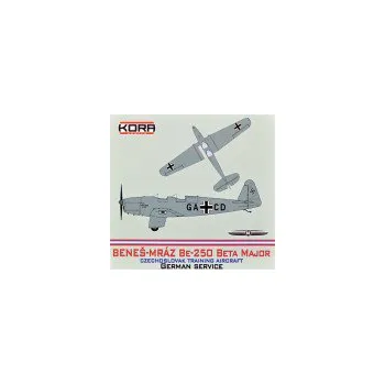 Plastikový model 1/72 Be-250 Beta Major (German Service)