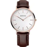 BERING 13738-564