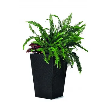 Pěstitelství Keter Rattan Planter S R41489