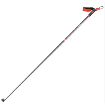 Běžkařská hole Rex Vega