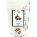 Salvia Paradise Lopuch větší kořen