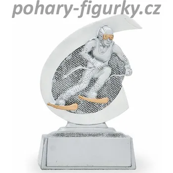 Plaketa sjezdové lyžování 26042