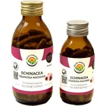 Salvia Paradise Echinacea třapatka…