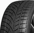 Zimní osobní pneu Evergreen EW66 255/40 R19 100 V XL