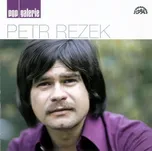 Pop galerie - Petr Rezek [CD]
