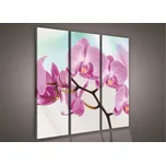 Obraz na plátně ART124 90 x 80 cm 3-dílný
