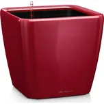 Lechuza Quadro LS 28 cm
