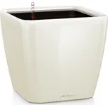 Lechuza Quadro LS 28 cm