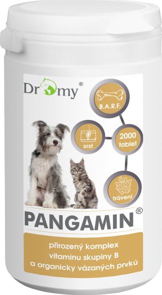 Dromy Pangamin Počet tablet: 2000 tbl