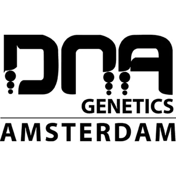 Semeno DNA Genetics Boo Boo regular (regular)