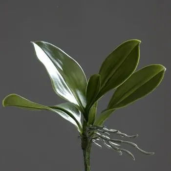 umělá květina Listy orchideje 60237-3