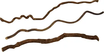 Dekorace do terária Lucky Reptile Asijská liána medium 100 cm