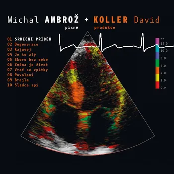 Česká hudba Srdeční příběh - Michal Ambrož, David Koller [CD]