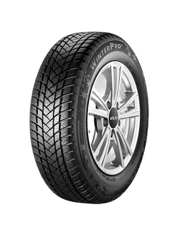 Zimní osobní pneu GT Radial Winter Pro 2 205/55 R16 91 H